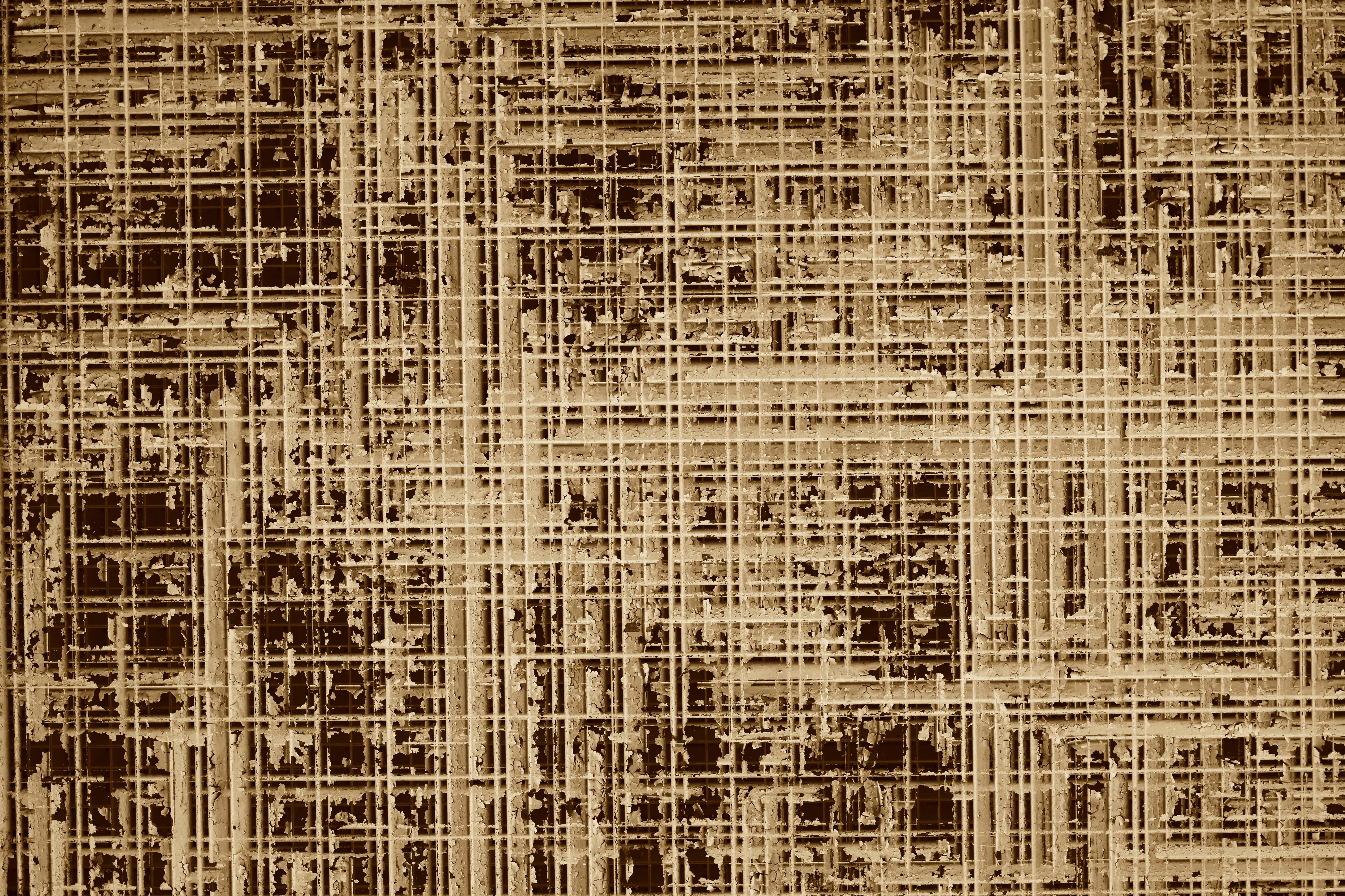 2025 岐阜・問屋街から柳ヶ瀬商店街